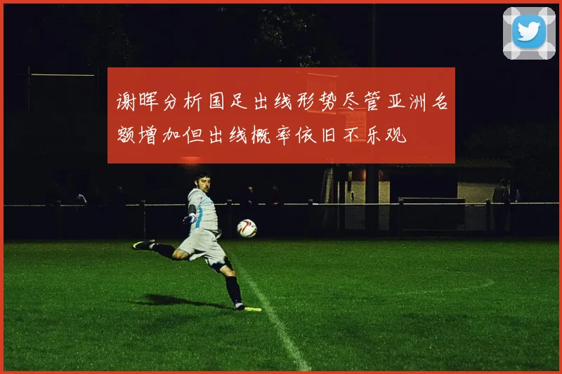 谢晖分析国足出线形势尽管亚洲名额增加但出线概率依旧不乐观